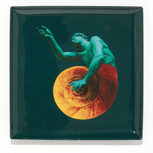 Vide-poche Helix