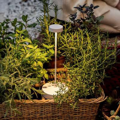 Lampe Swap