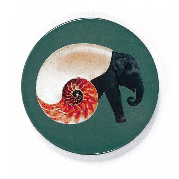 Set de 4 dessous-de-verre Shellephant